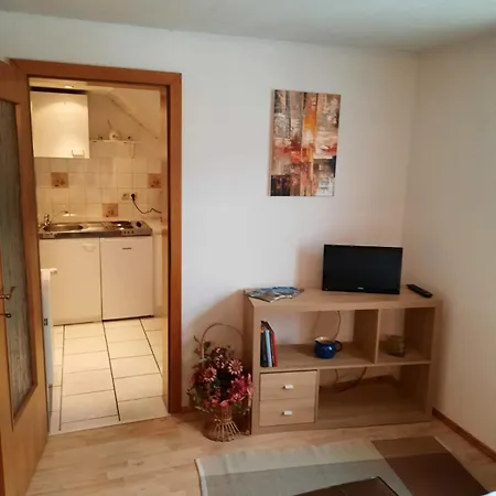 Zum Tischler Apartment Ilmenau Room photo